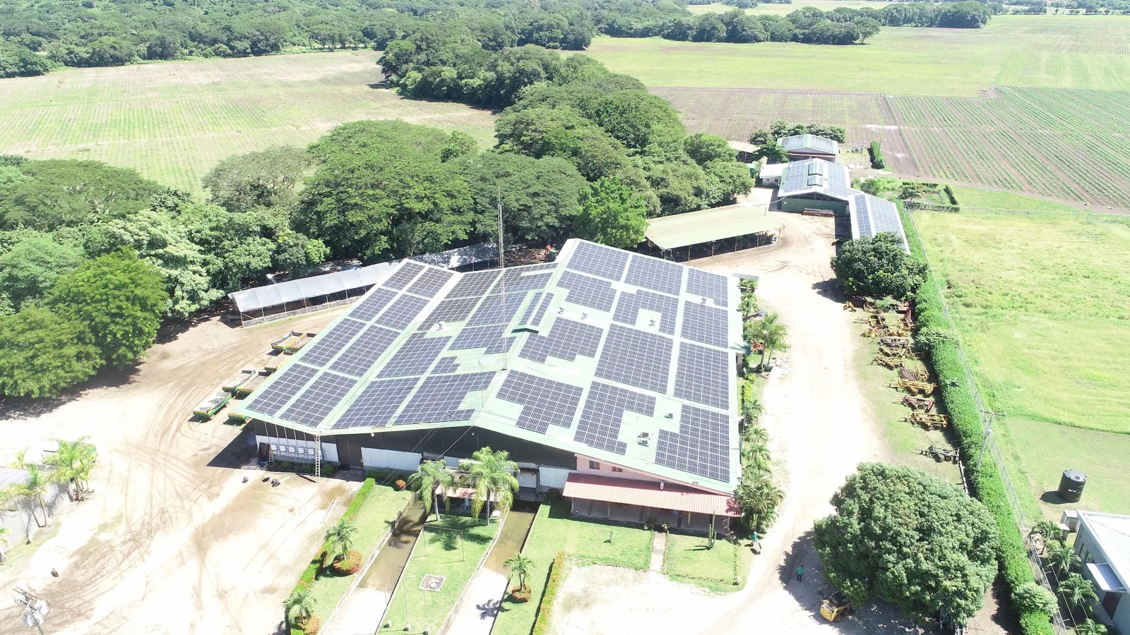 Melopen, Agro-Export Platform