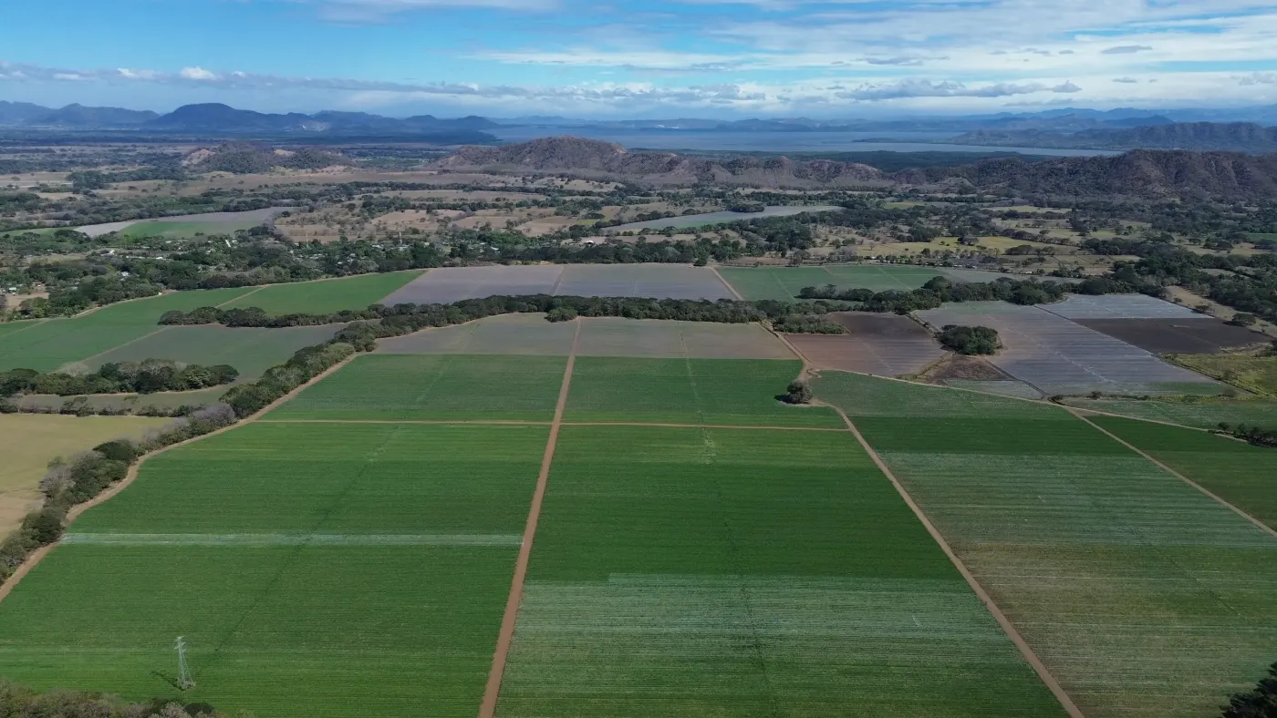 Vista aérea de las fincas de Melopen en Guanacaste, con el Golfo de Nicoya al fondo