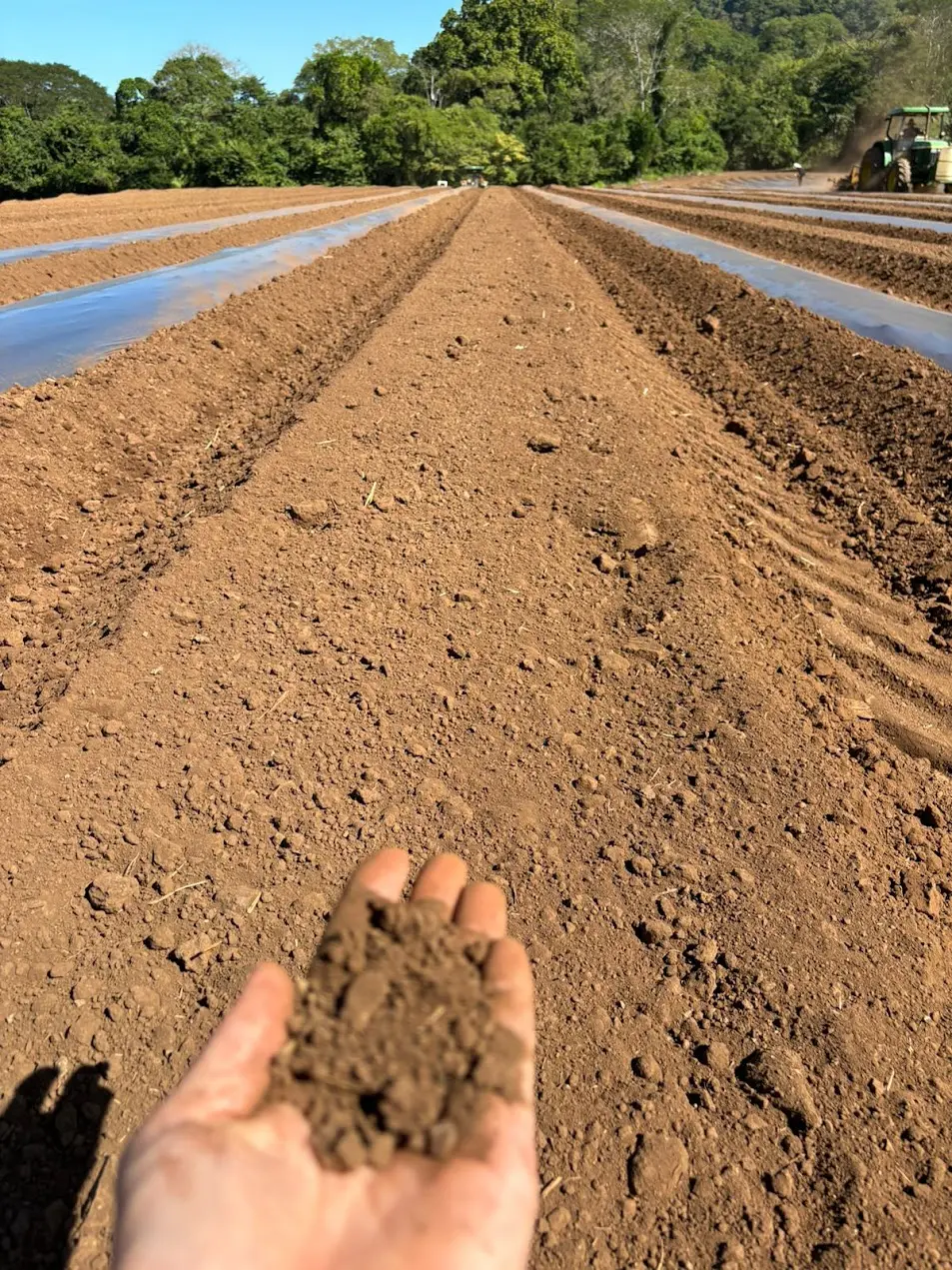Mano sosteniendo tierra preparada, con el tractor trabajando al fondo